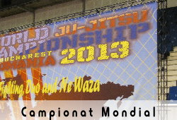 Campinat Mondial Ju-Jitsu 2013 