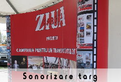 Ziua Cargo 2013