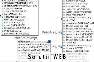 Solutii WEB